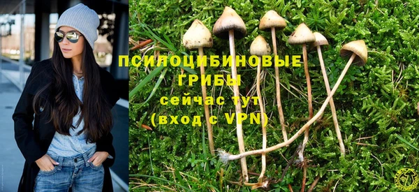 мдпв Краснотурьинск