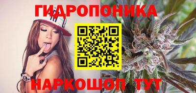 прущие крисы Коммунар