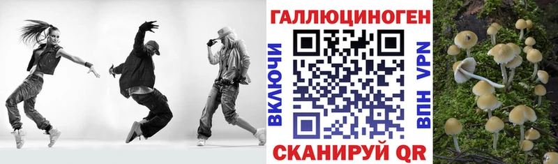 купить наркоту  Ртищево  Галлюциногенные грибы Psilocybe 