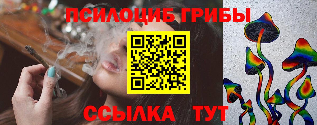 Псилоцибиновые грибы Psilocybine cubensis  Вход с VPN  Ртищево 